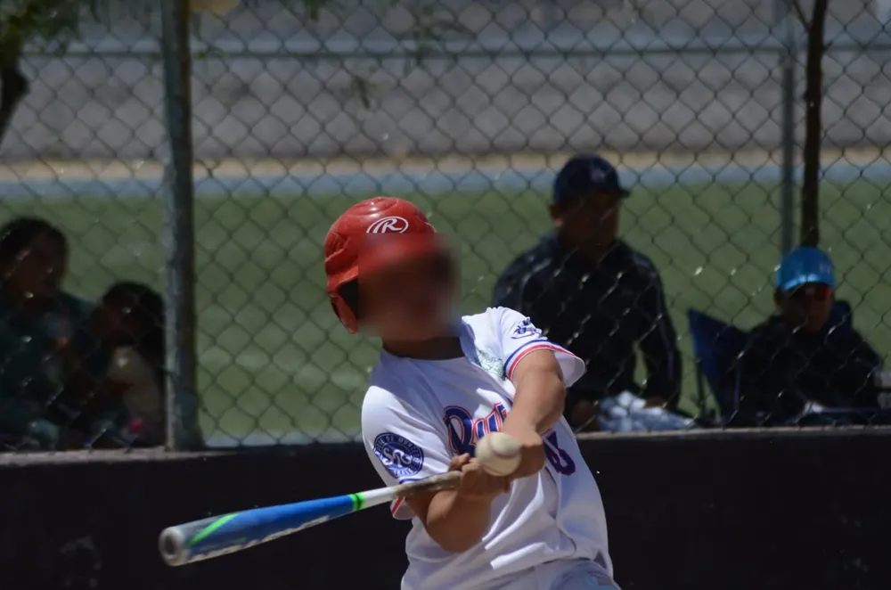 WhatsApp Image 2025-04-03 at 2.17.36 PM