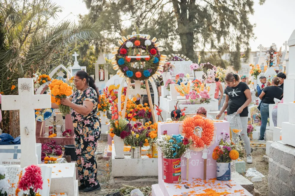 WhatsApp Image 2024-11-03 at 12.43.54