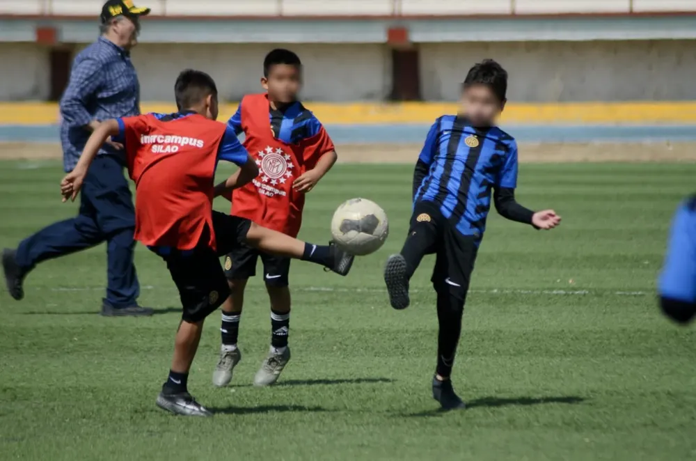 WhatsApp Image 2025-02-01 at 14.46.33