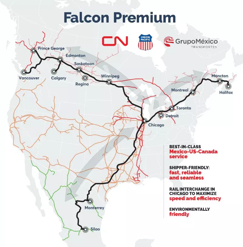 Falcon-cn (1)