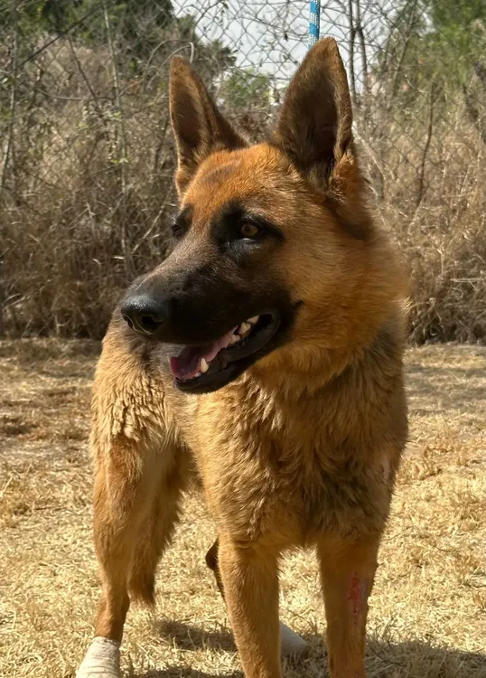 WhatsApp Image 2024-04-01 at 16.44.07