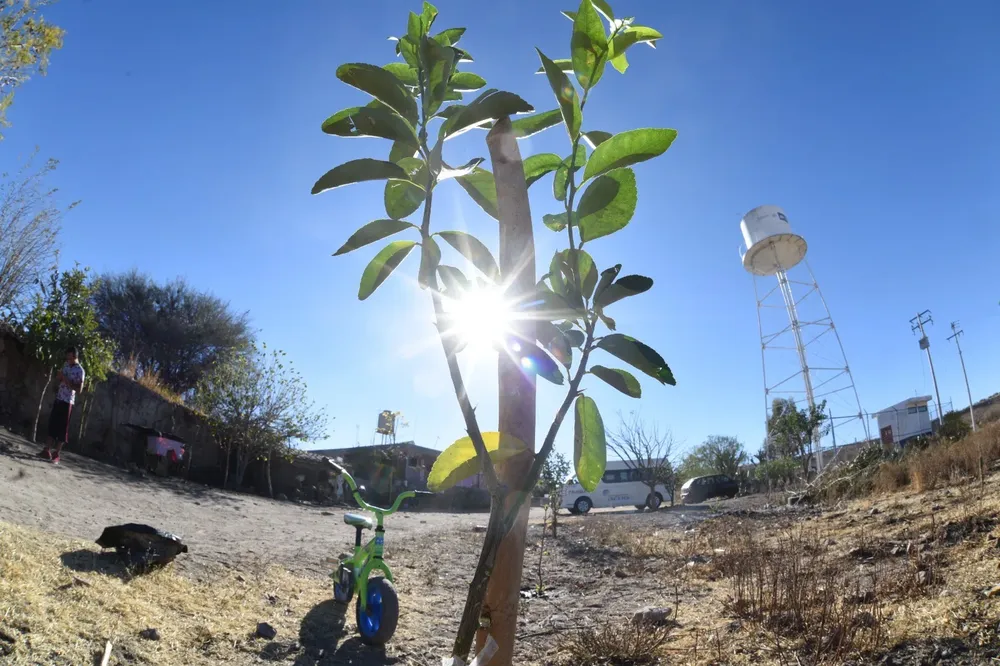 363945741_620939910145191_7839039980495037619_n