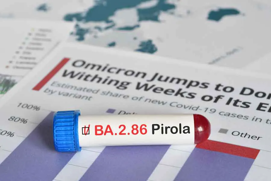 pirola-jn1