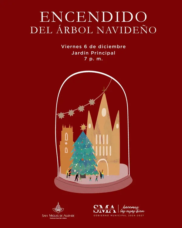 WhatsApp Image 2024-12-05 at 17.40.42