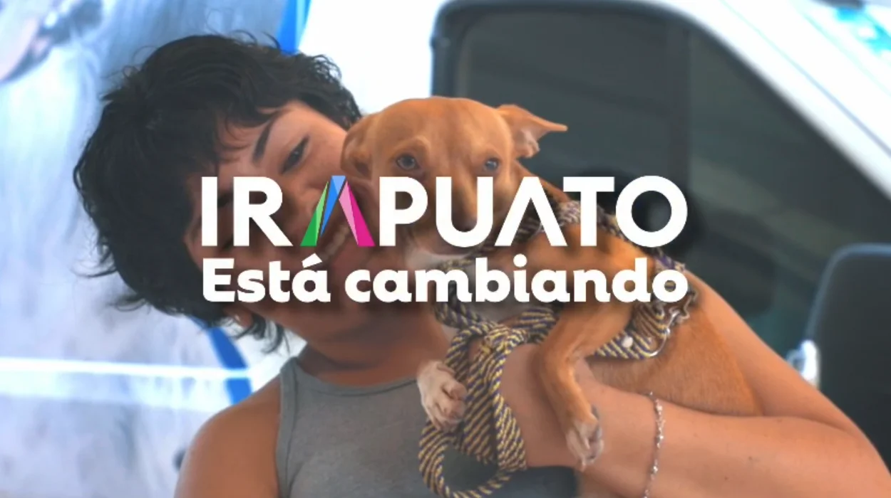 Animales