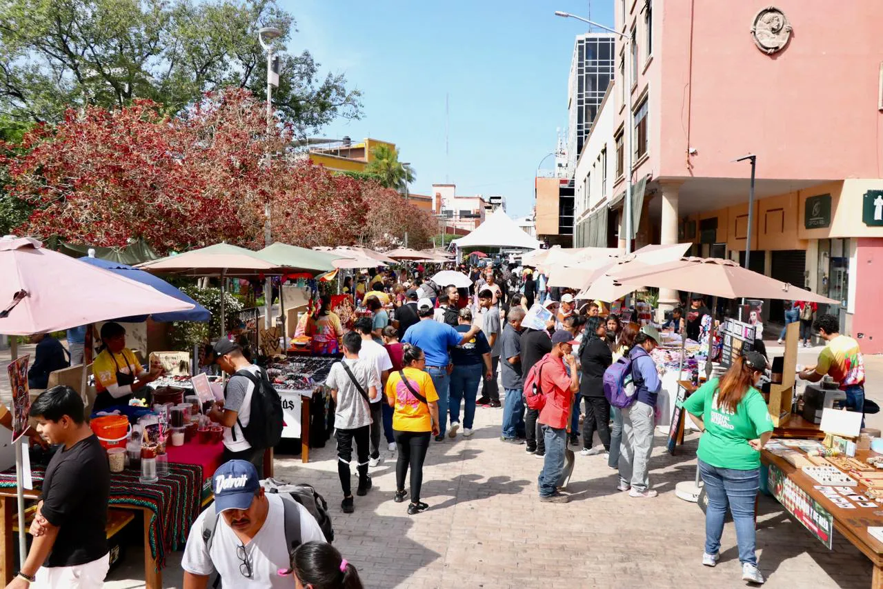 WhatsApp Image 2025-11-09 at 11.56.21