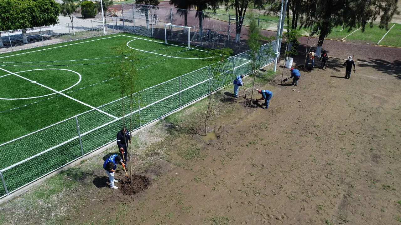 c9284a53-6ca0-496a-a4a5-a18d0f30d59c