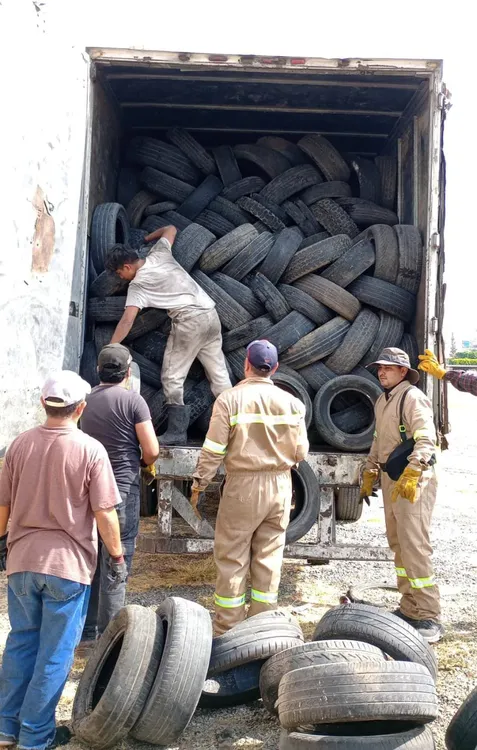 WhatsApp Image 2025-03-19 at 16.35.35