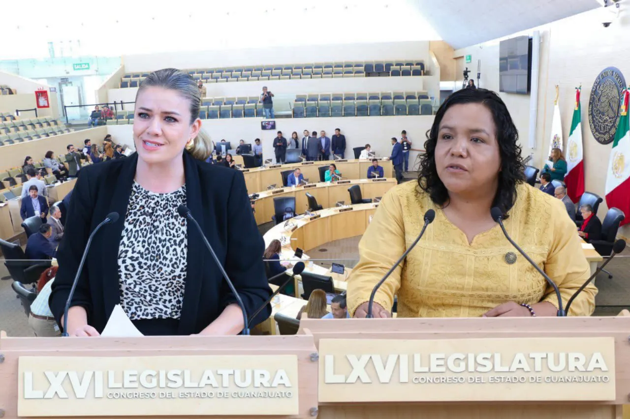 photo_2025-11-21 03.54.07