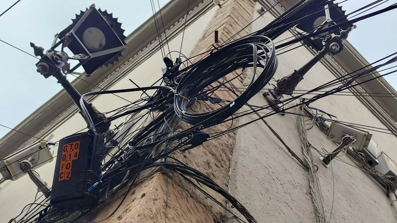 WhatsApp Image 2026-01-20 at 14.30.35