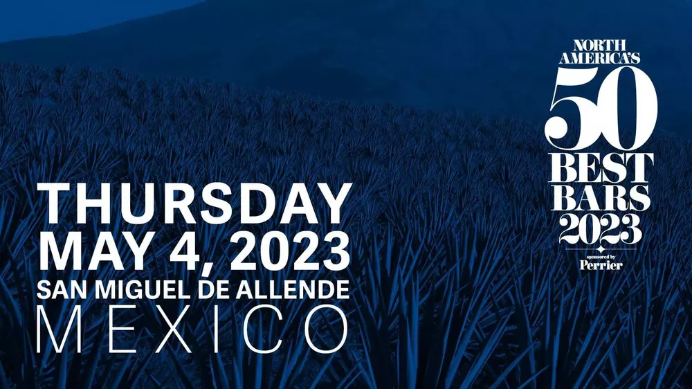 WhatsApp Image 2023-04-21 at 11.54.48