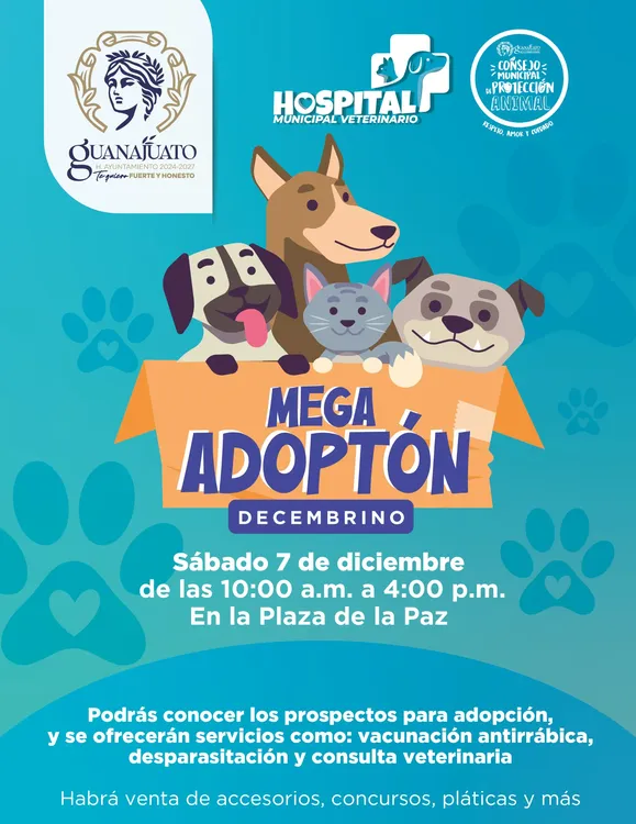 WhatsApp Image 2024-12-03 at 13.49.40