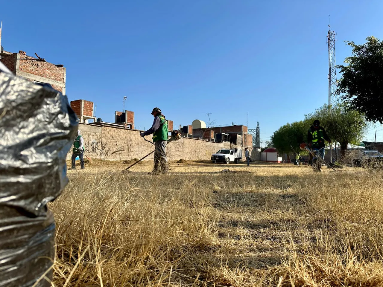 WhatsApp Image 2024-12-23 at 12.50.43