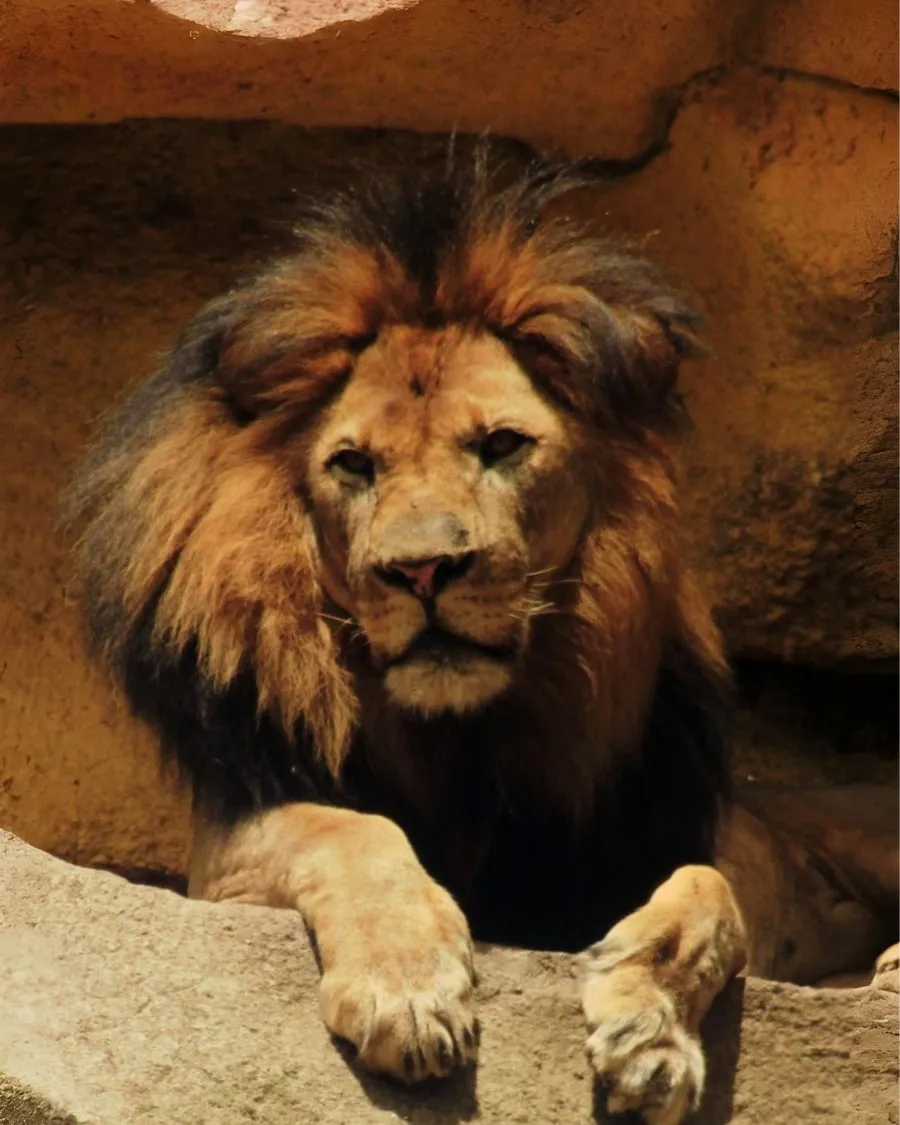 602345133_1378419074331037_6955671056265495877_n