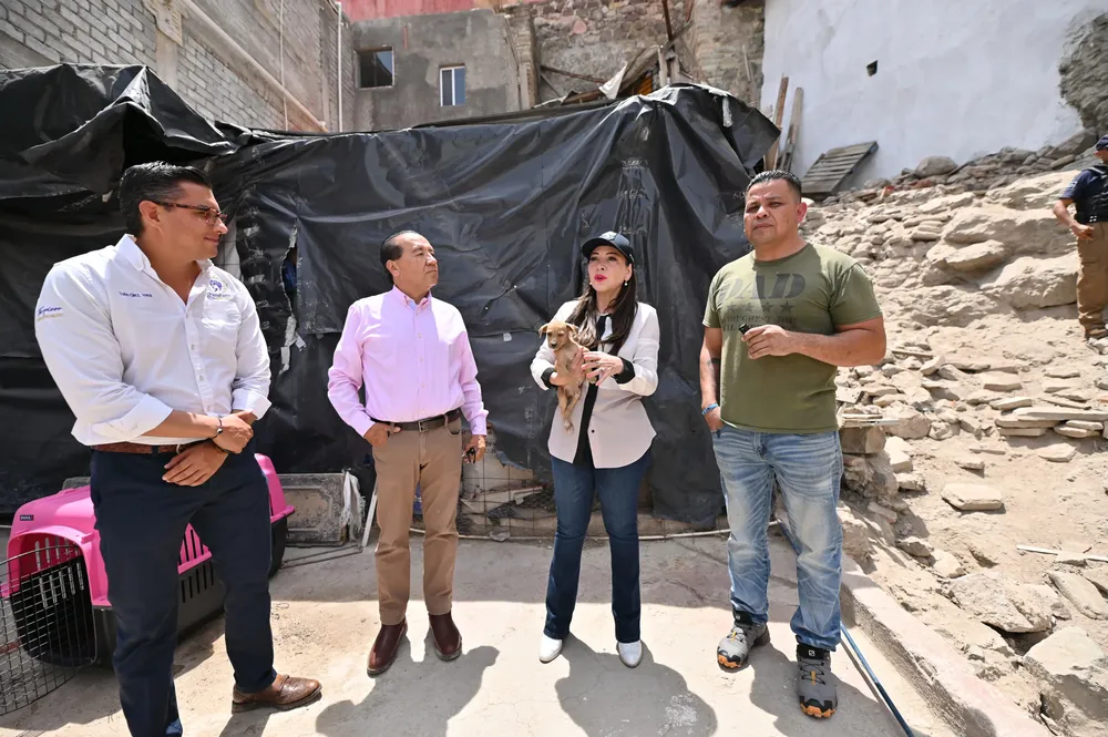 WhatsApp Image 2025-04-02 at 5.48.30 PM (1)