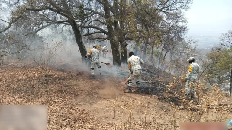 Incendio-Puruagua-03-768x431