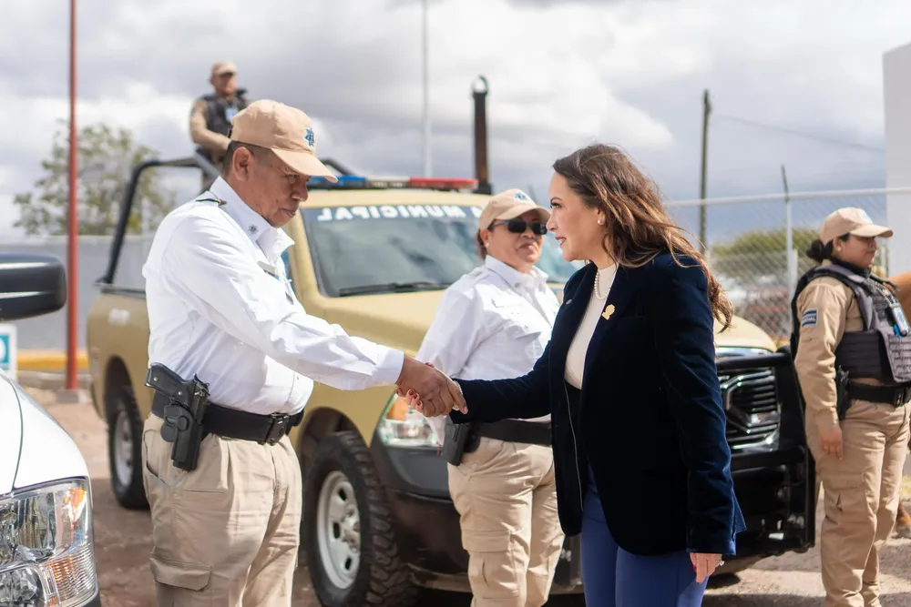 WhatsApp Image 2025-01-11 at 17.51.16