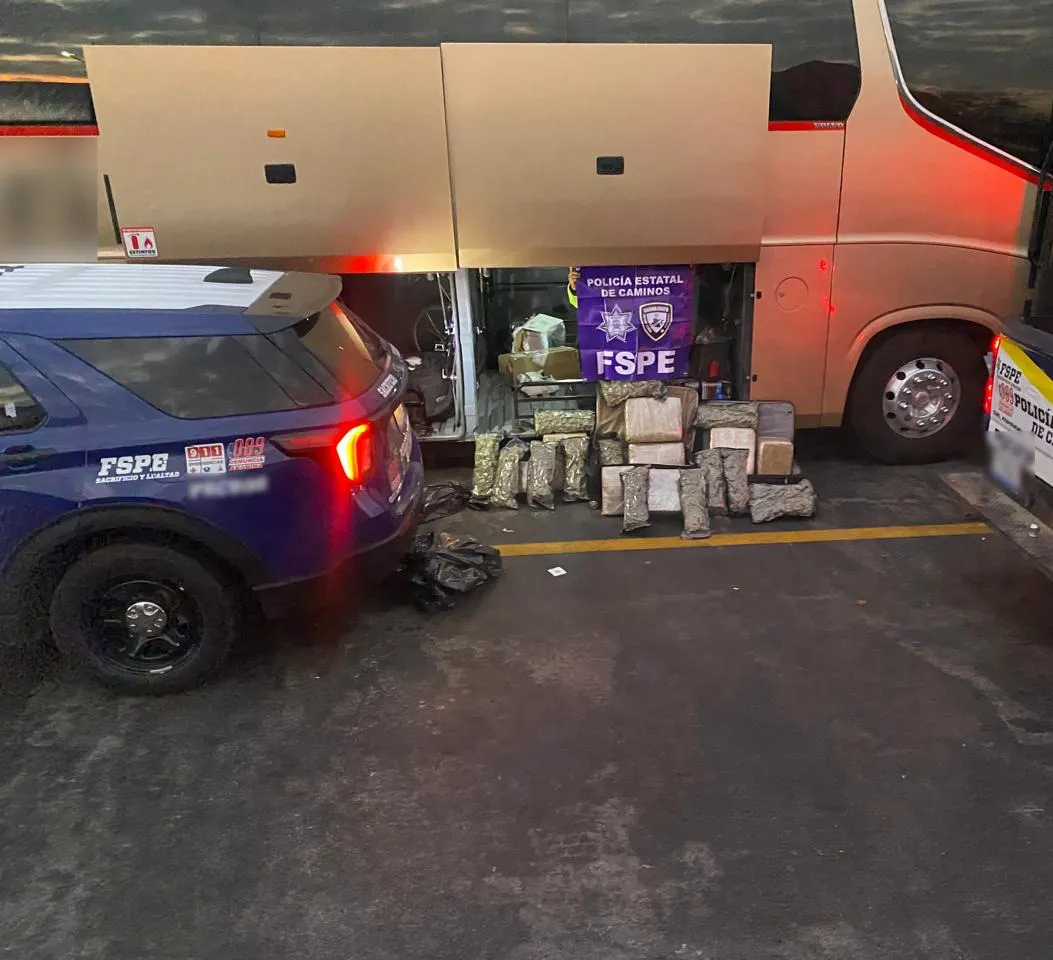 Asegura-Policia-Estatal-38-mil-dosis-de-marihuana-en-Salamanca-00