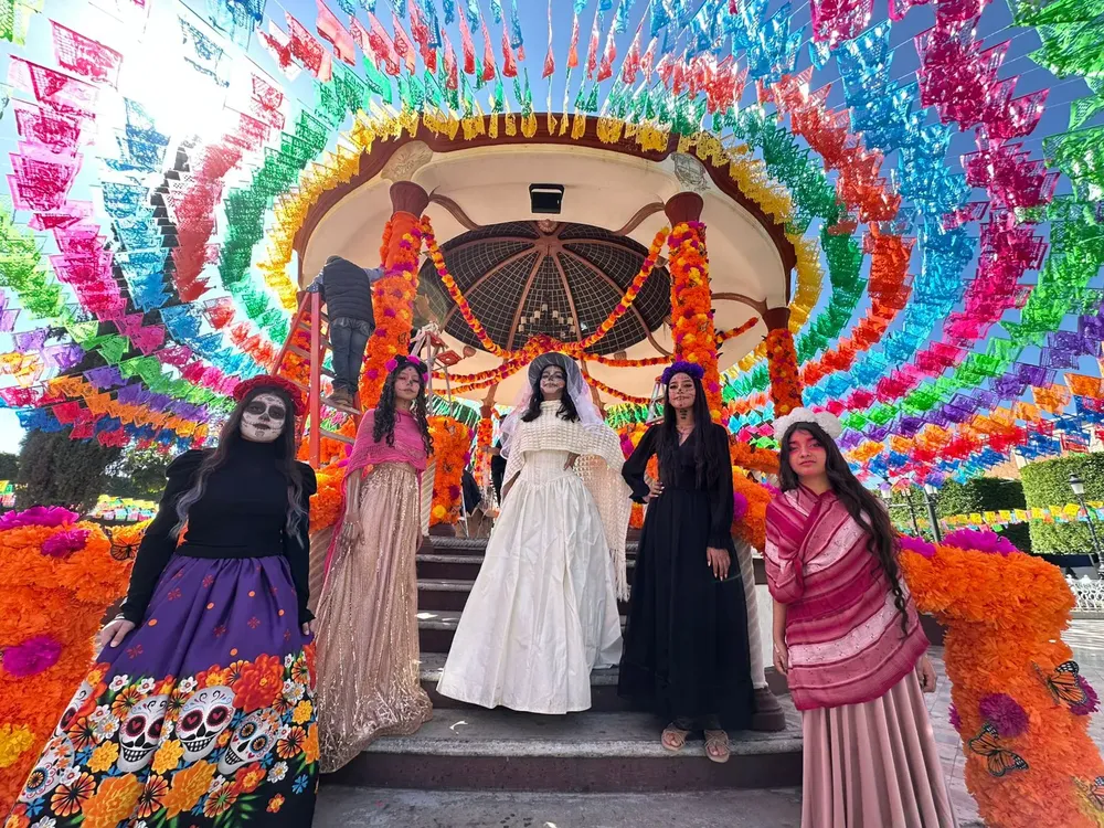 WhatsApp Image 2024-10-25 at 15.55.09