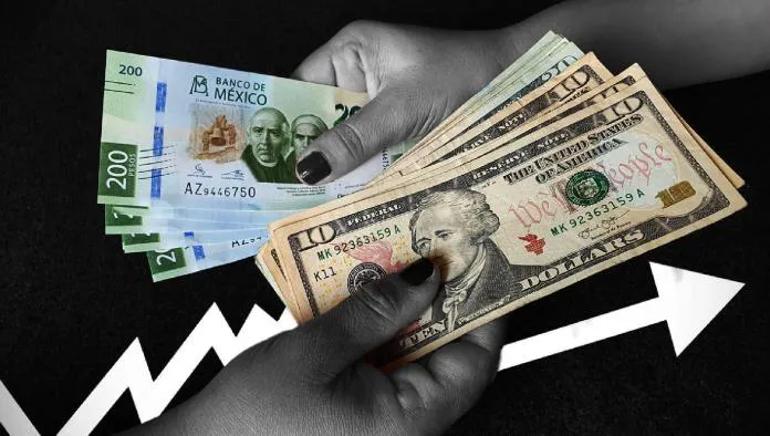 5cd3cu4ypbfold2xwozjm5rily-focus-0-0-696-394