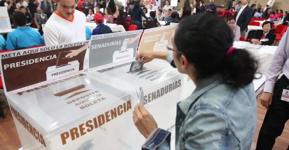 decalogo-voto-catolico-elecciones-2024.jpg