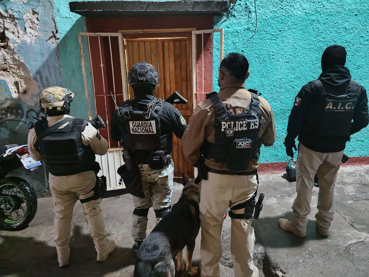 WhatsApp Image 2025-02-22 at 16.47.14