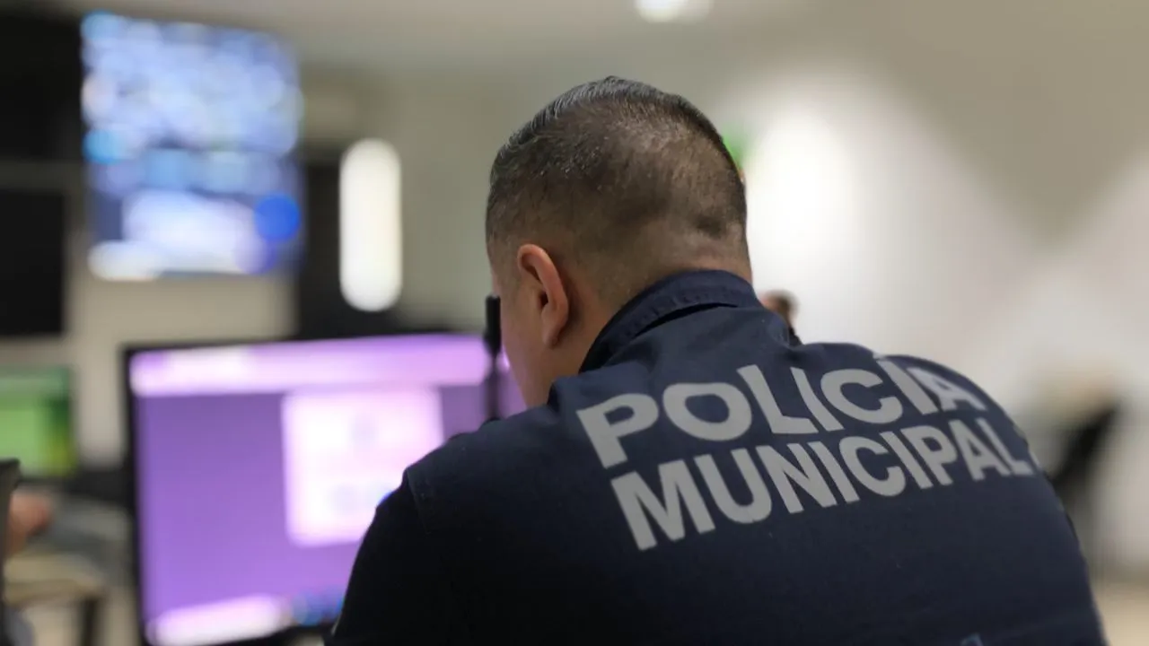 WhatsApp Image 2024-11-13 at 22.18.32