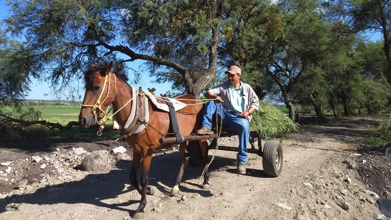 WhatsApp Image 2025-05-05 at 4.56.36 PM (1)