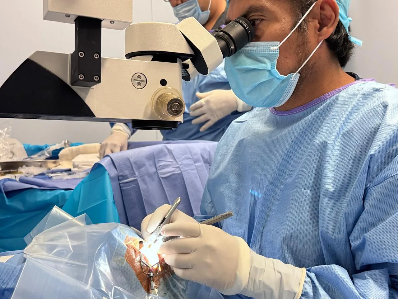 WhatsApp Image 2025-11-28 at 12.18.46