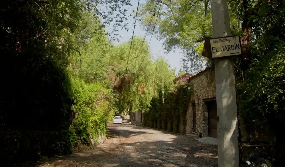 WhatsApp Image 2024-08-12 at 16.29.45