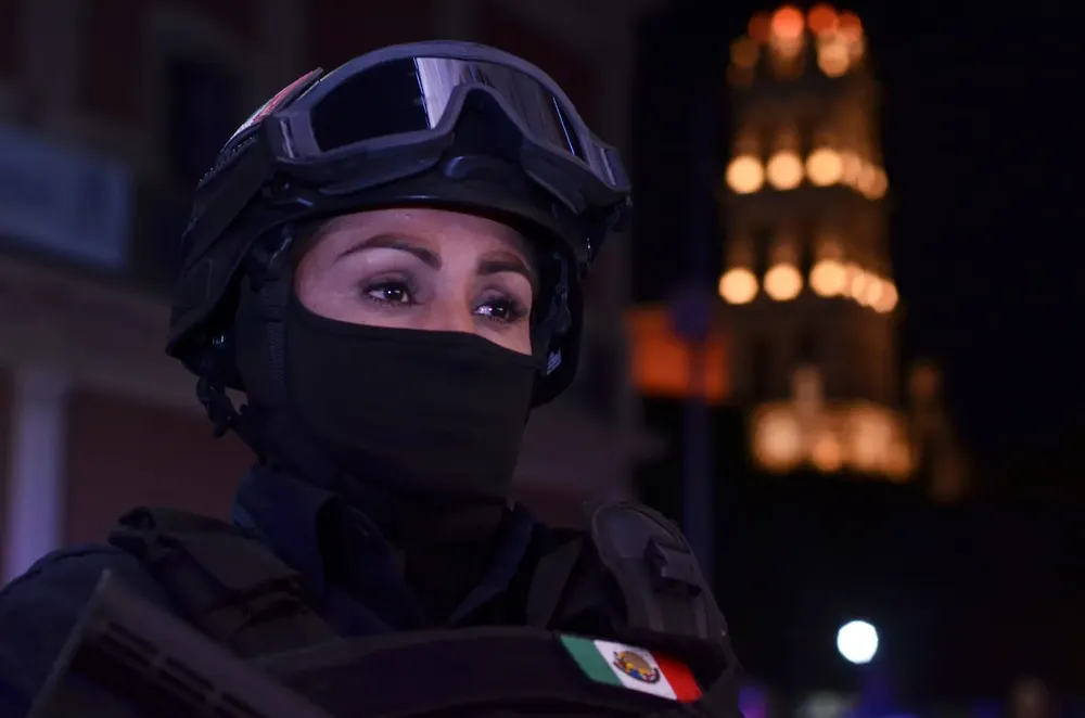 WhatsApp Image 2024-12-13 at 16.16.51