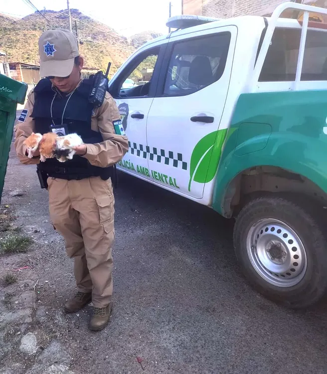 WhatsApp Image 2024-10-18 at 14.02.37