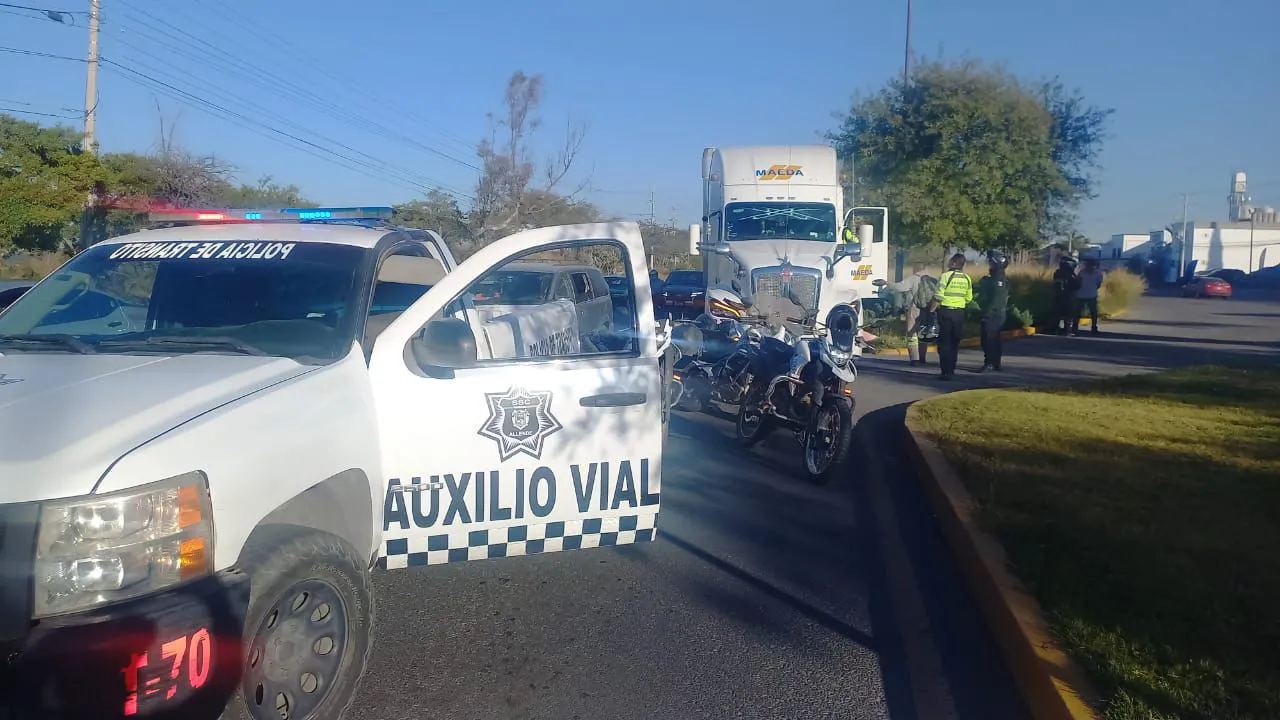 WhatsApp Image 2024-12-04 at 11.23.29