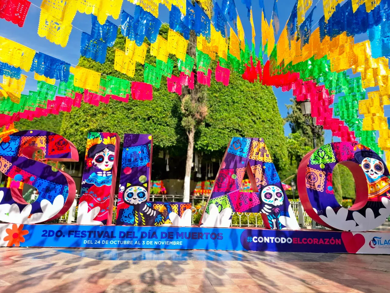 WhatsApp Image 2025-10-27 at 19.07.00