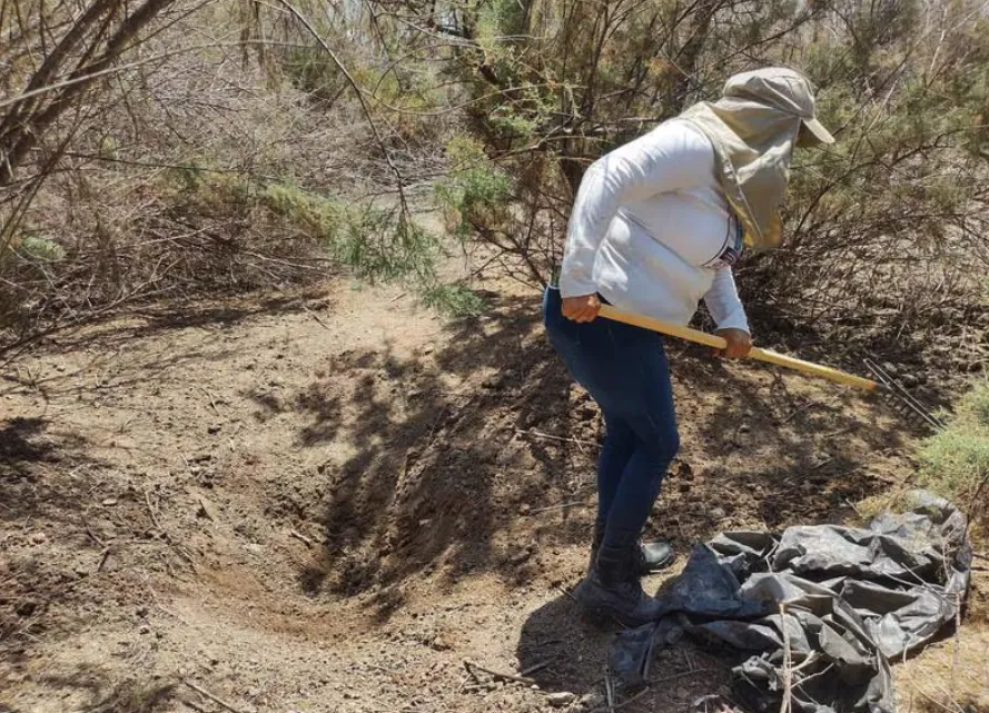 Captura de pantalla 2024-05-04 a la(s) 3.57.22 a.m.