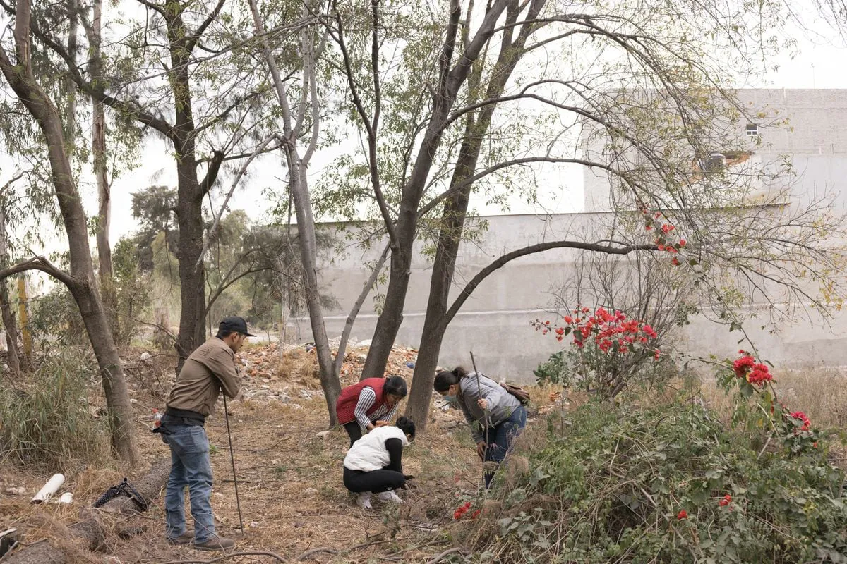 Integrantes del Colectivo Salamanca Unidos Buscando Desaparecidos Integrantes del Colectivo Salamanca Unidos Buscando Desaparecidos, realizan una búsqueda en un predio de la ciudad de Salamanca, Guanajuato, el 20 de enero de 2024.