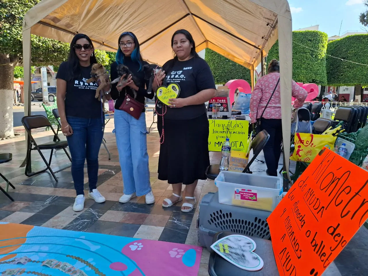 WhatsApp Image 2025-02-09 at 17.31.26