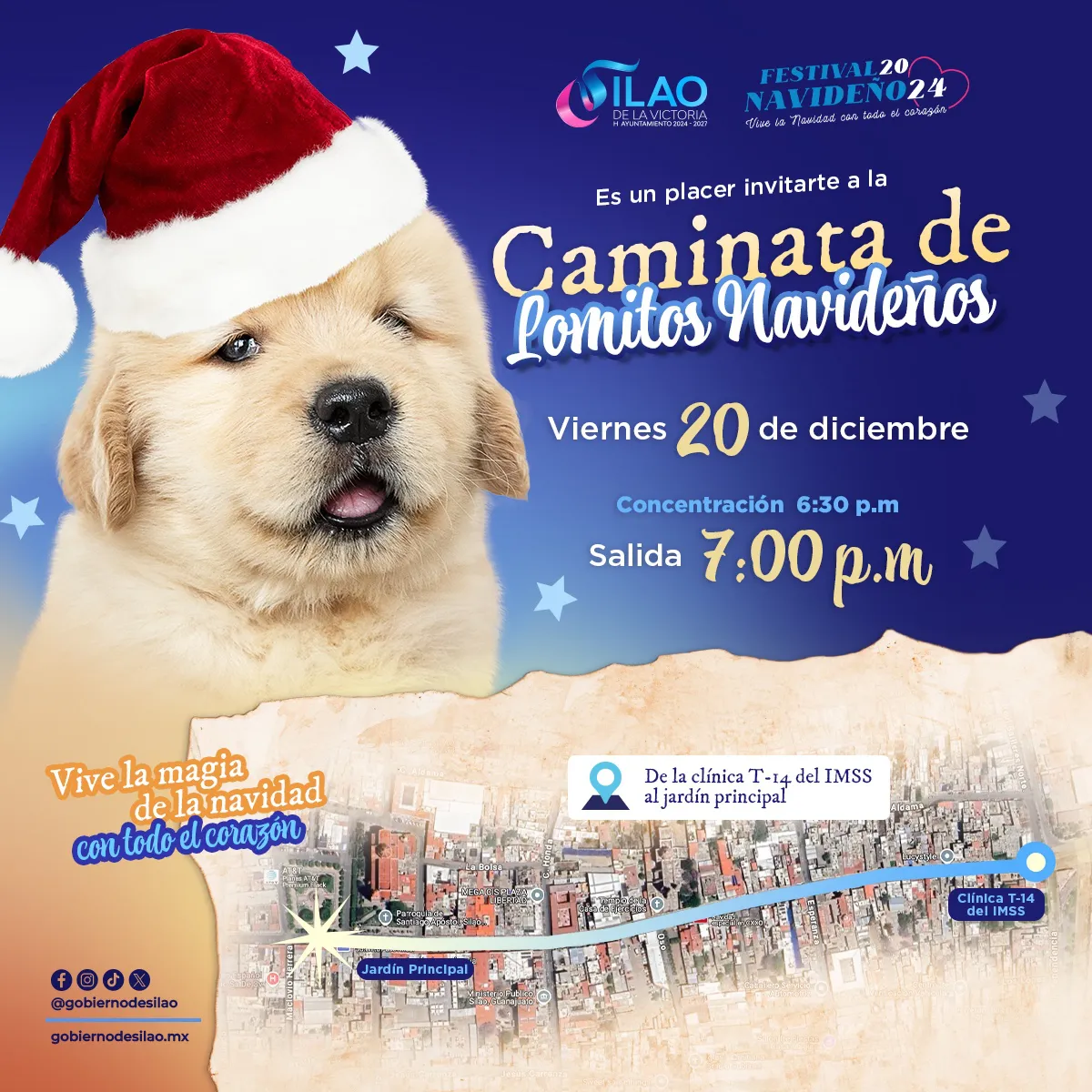 WhatsApp Image 2024-12-19 at 14.44.32