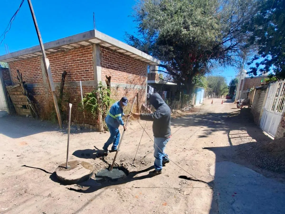 WhatsApp Image 2025-02-27 at 16.45.24