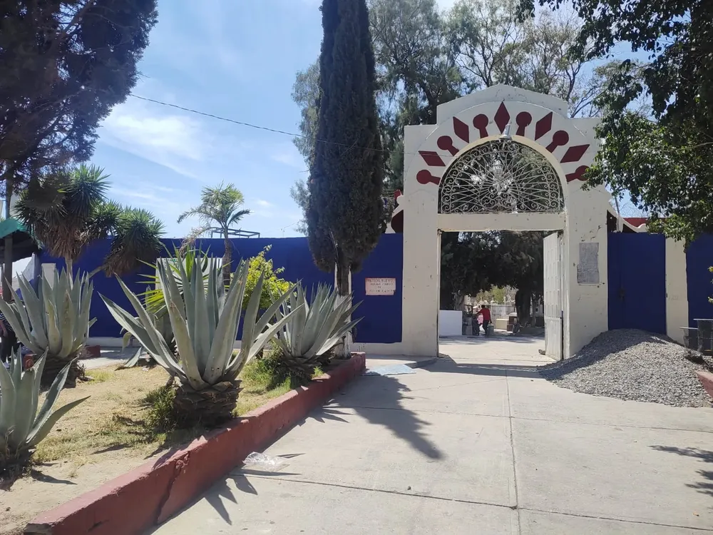 WhatsApp Image 2025-03-25 at 09.08.34