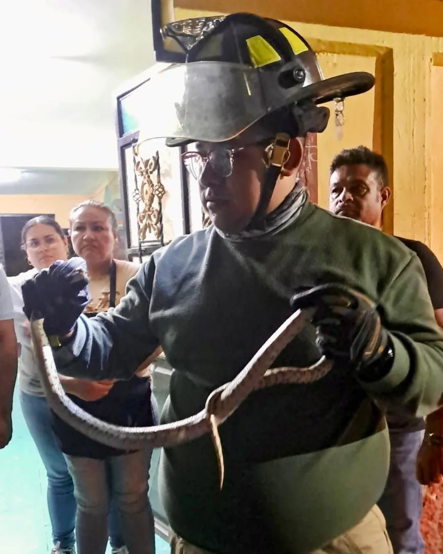 WhatsApp Image 2025-04-02 at 10.03.35 AM