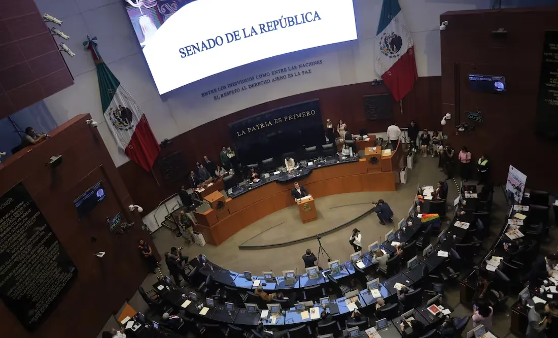 senado q1 copia