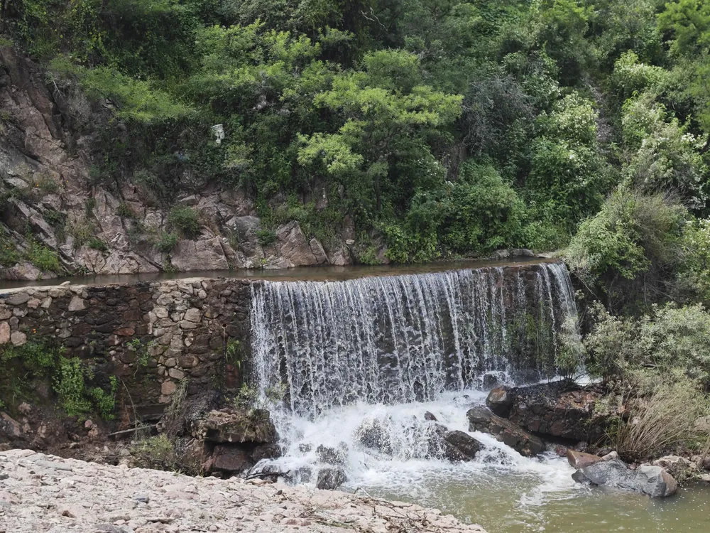 WhatsApp Image 2025-04-16 at 3.50.49 PM