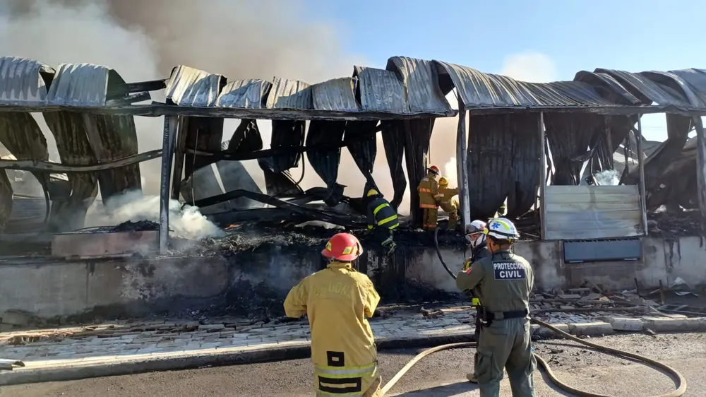 WhatsApp Image 2024-11-11 at 12.59.23