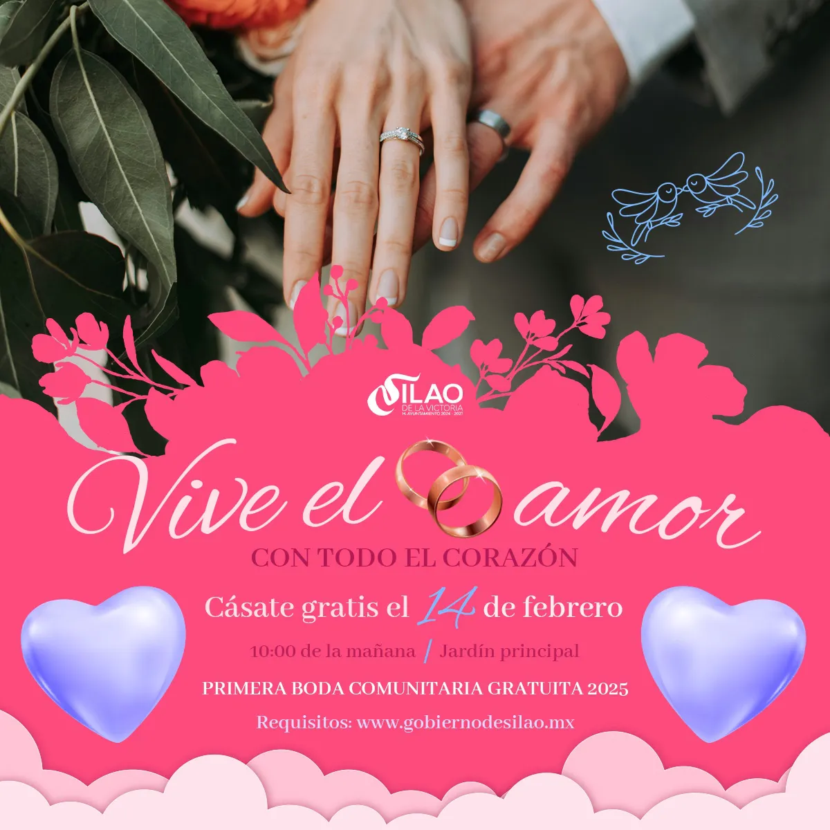 WhatsApp Image 2025-01-14 at 17.45.09