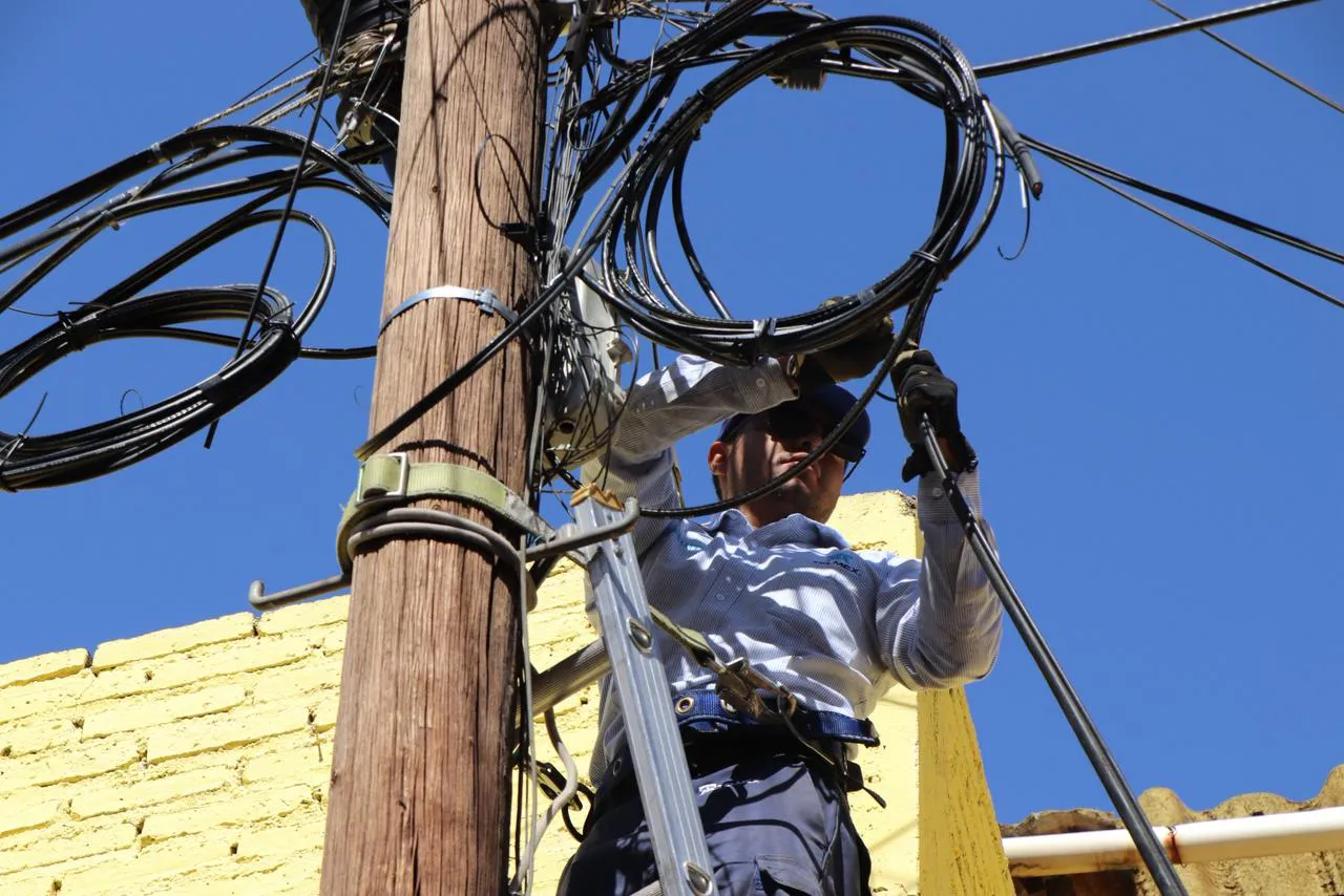 WhatsApp Image 2026-02-16 at 11.52.17