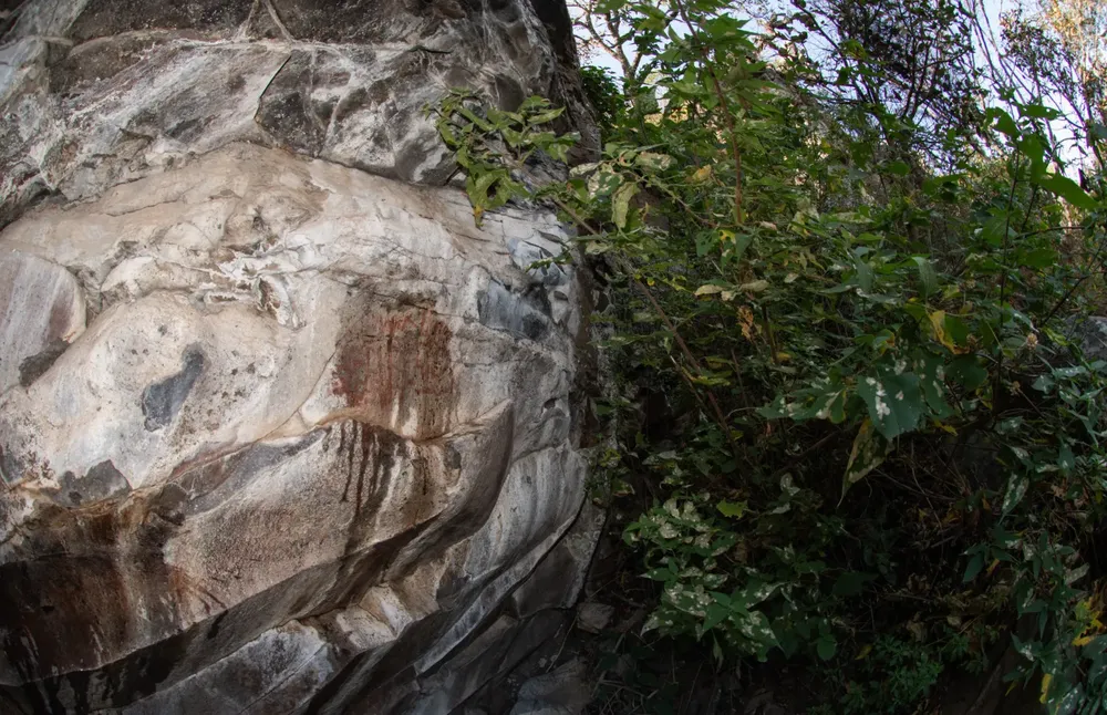 WhatsApp Image 2025-11-24 at 10.06.55 (1)