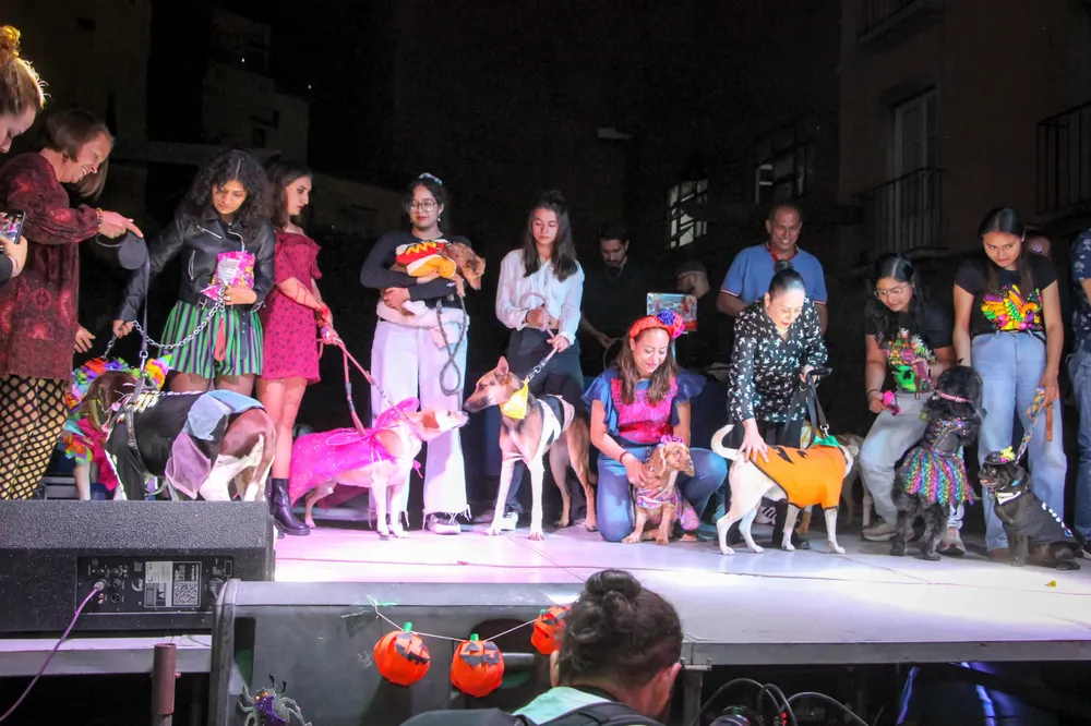 WhatsApp Image 2025-11-01 at 16.53.36