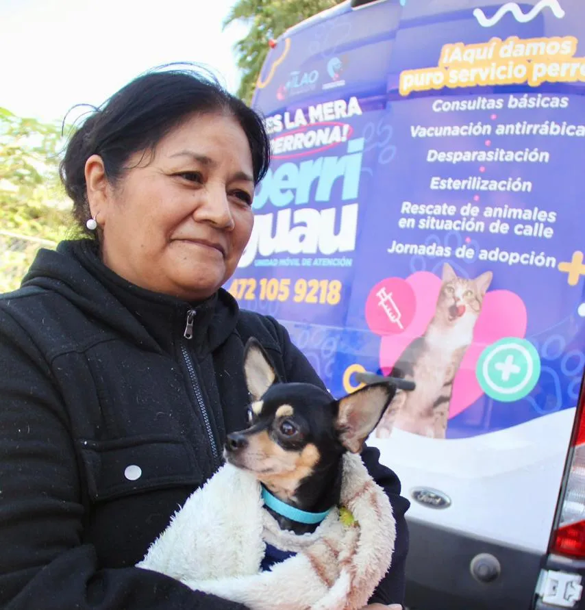 WhatsApp Image 2025-11-10 at 18.44.01