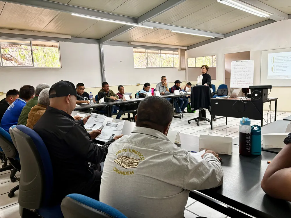 WhatsApp Image 2025-02-26 at 17.22.22